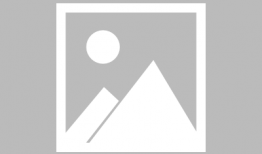 火影成人漫画,成人世界的羁绊与成长